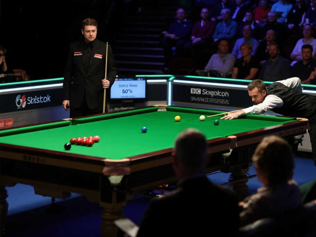 他们通过实 他们通过实