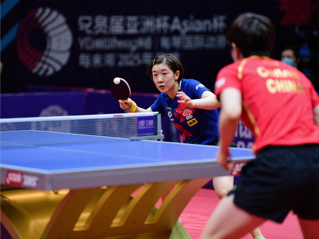 比如小波特 比如小波特